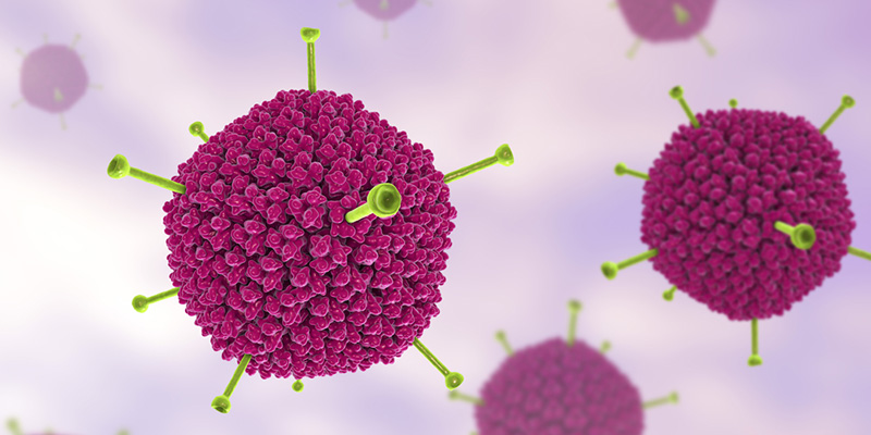 apakah adenovirus penyebab hepatitis akut