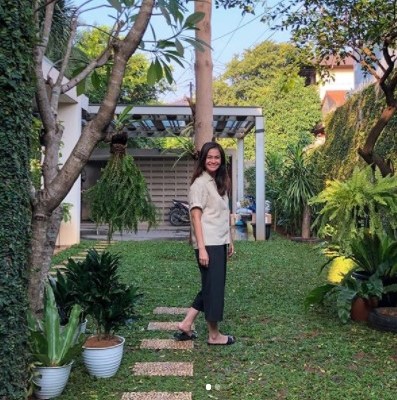 Gardening Hobby’s Starter Pack a la Ersa Mayori