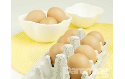 Mengenal Jenis Telur Ayam